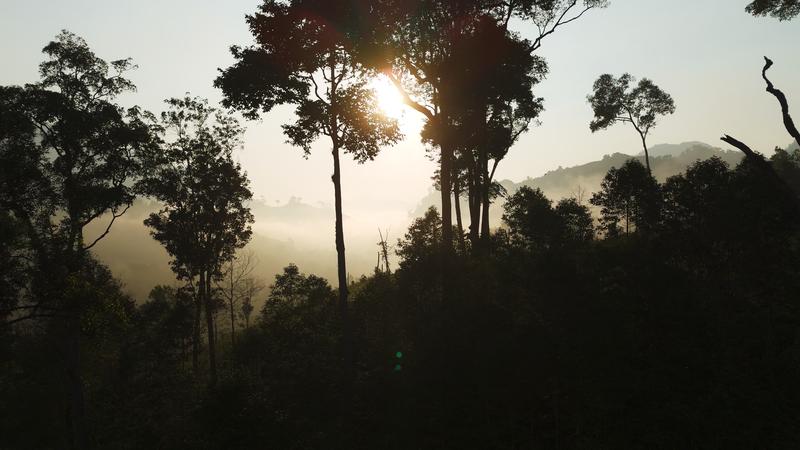 Visit Trà Leng Village and the Cinnamon Garden